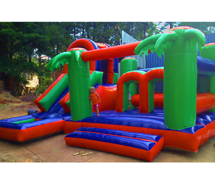 Jungle Gym Jumping Castle