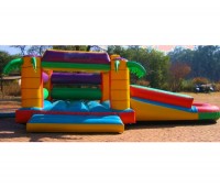 Slide @ Side With Palm Trees 