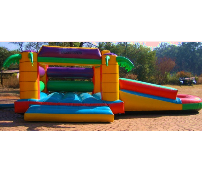 Slide @ Side With Palm Trees 